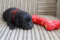 фотография Лии, детская газета