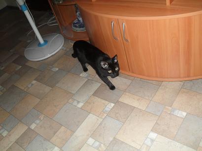 фотография Лии, детская газета