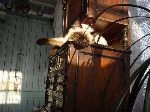 фотография Ксюши Жаровой, детская газета