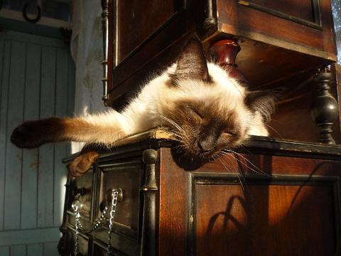 фотография Ксюши Жаровой, детская газета