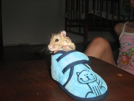 фотография Нины Даут, детская газета