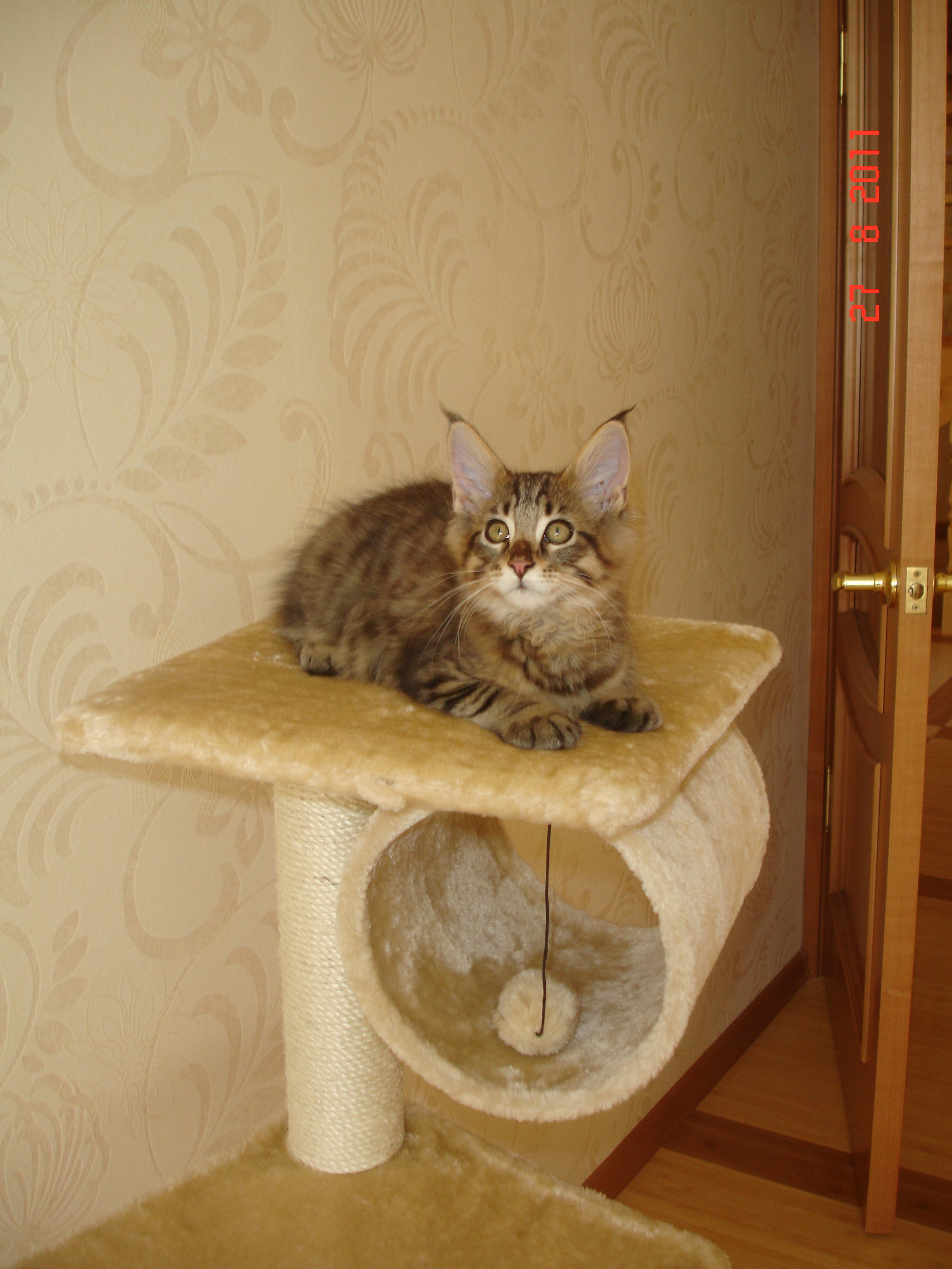 детская газета