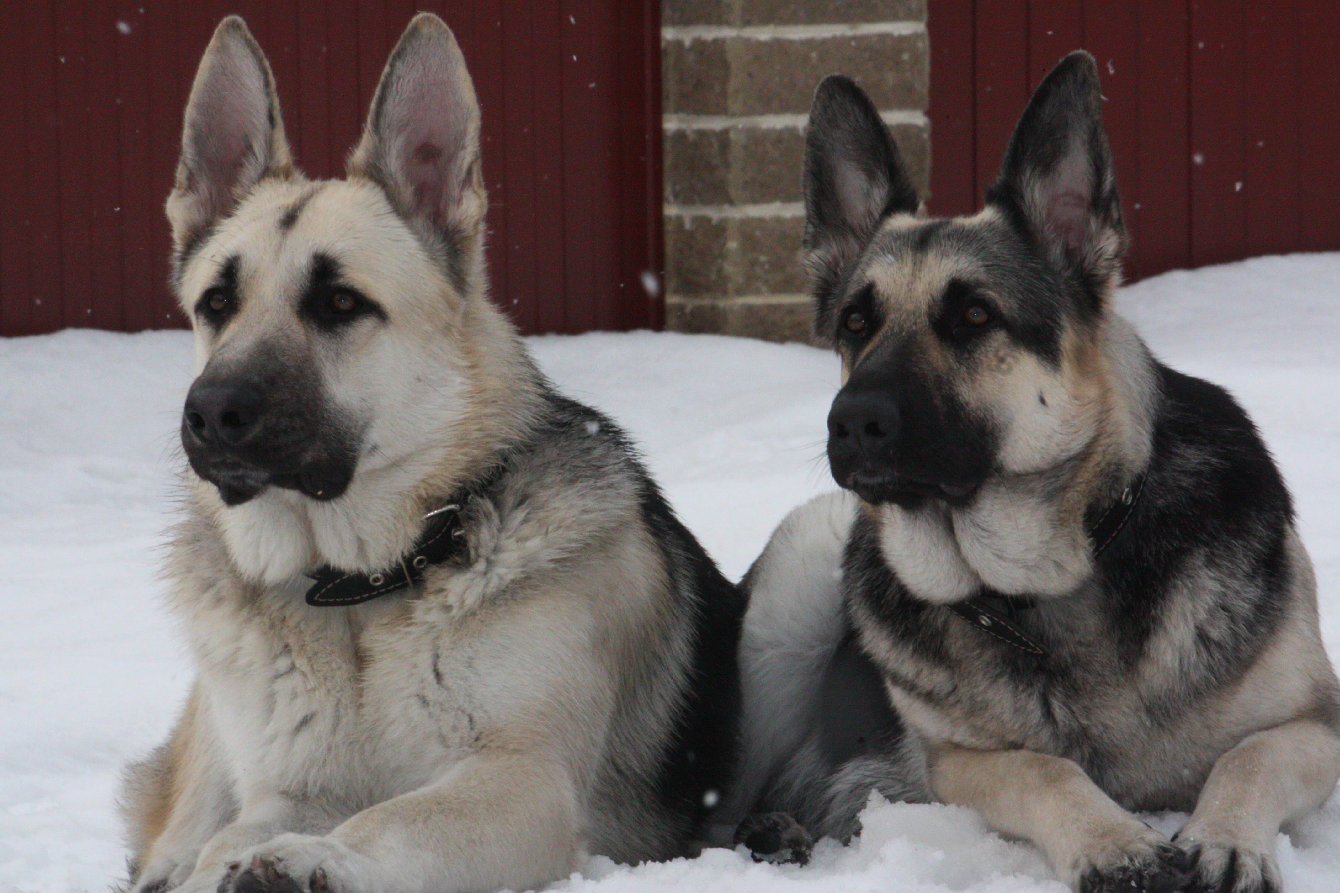 детская газета