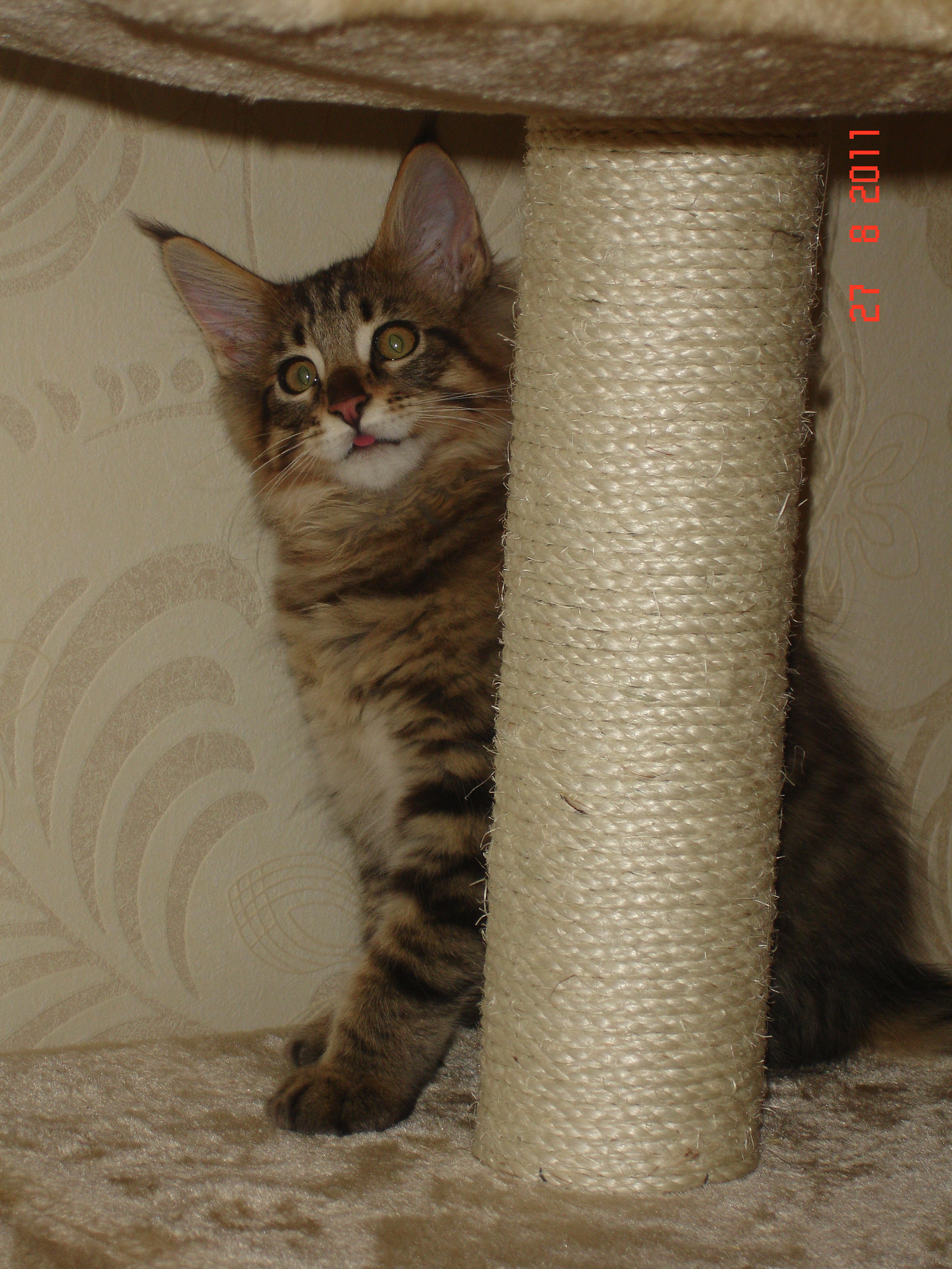 детская газета