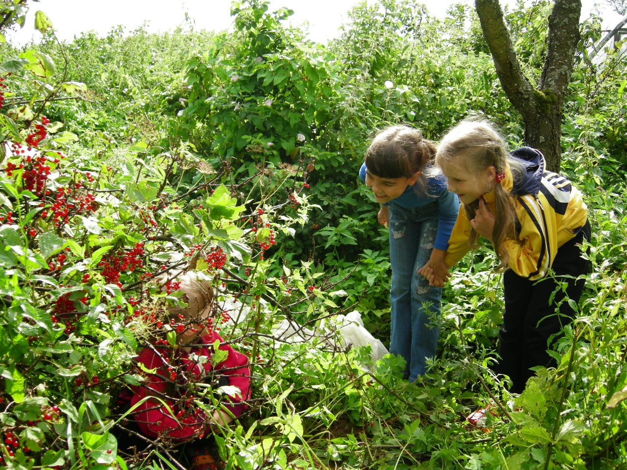 Саша, детская газета